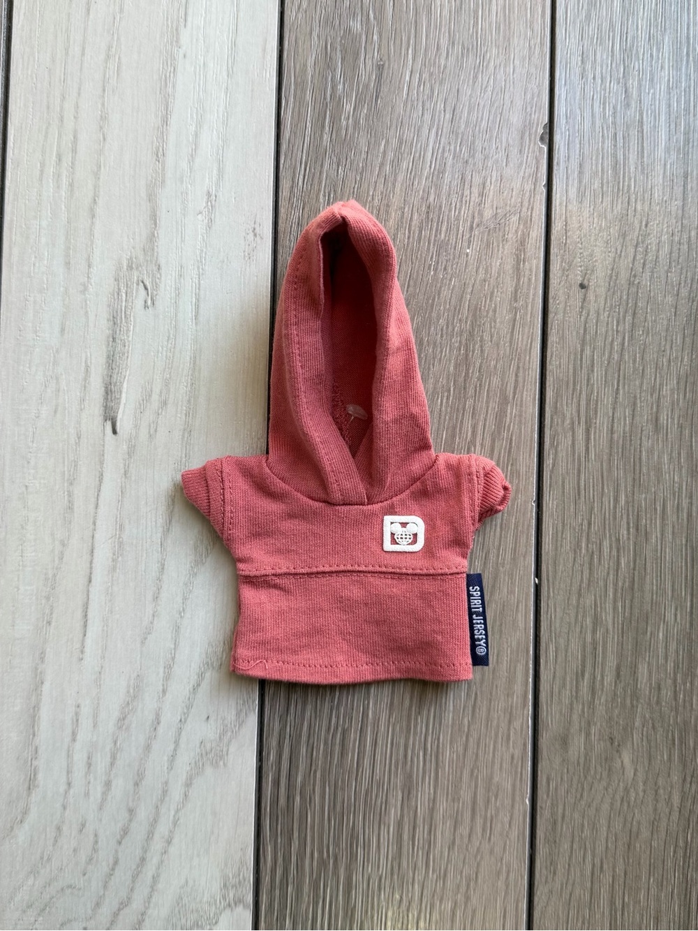 Disney NuiMOs Outfit - Walt Disney World Spirit Jersey Hoodie